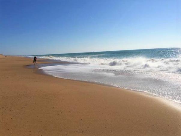 Appart Bréti Plage 2 Brétignolles-sur-Mer Exterior foto